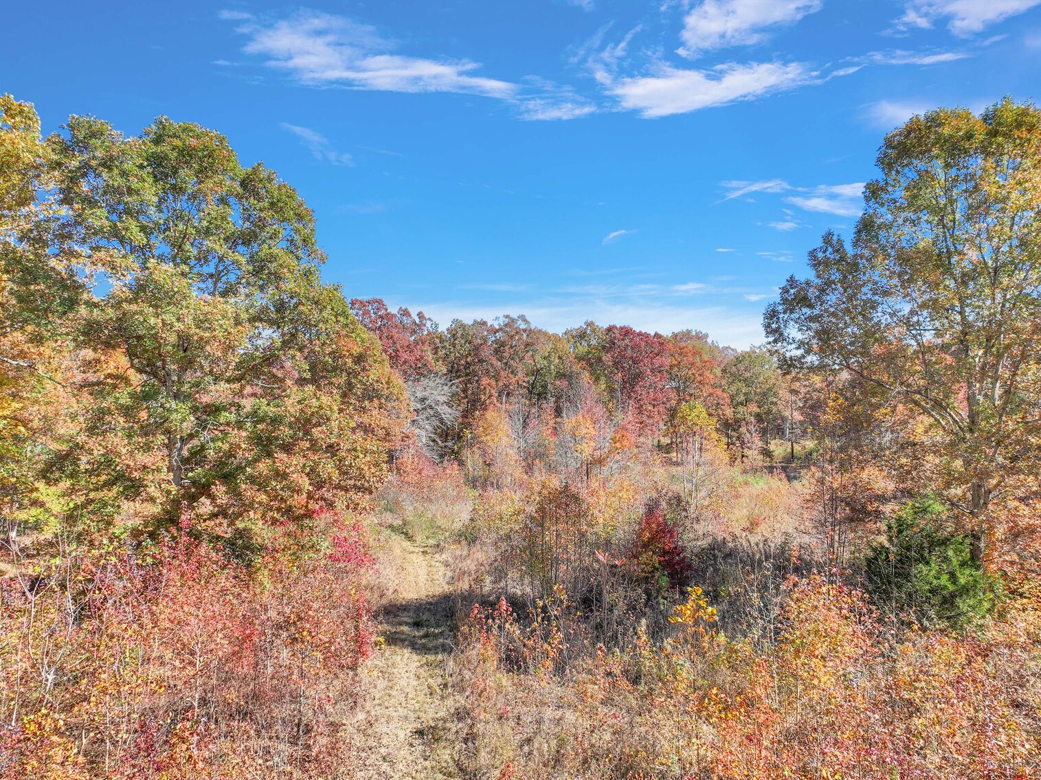 Image for 7179 & 7227 Fredonia Road, Manchester