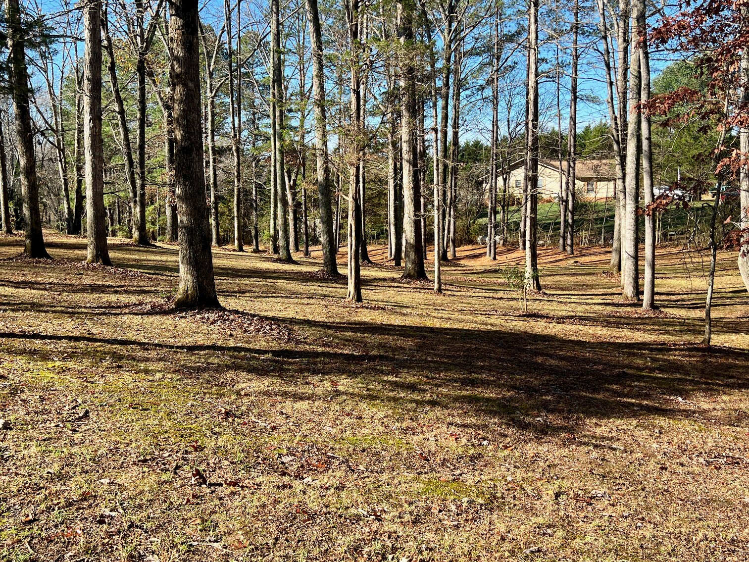 Image for 4 BR/3 BA Home w/2 BR/1 BA Cottage on 3.7 +/- Acres in Orange County, VA