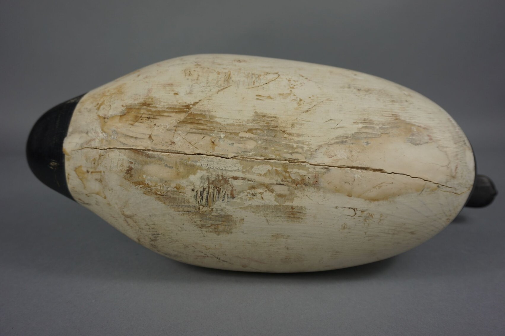 Image for November Online Sportsman's Auction 2022