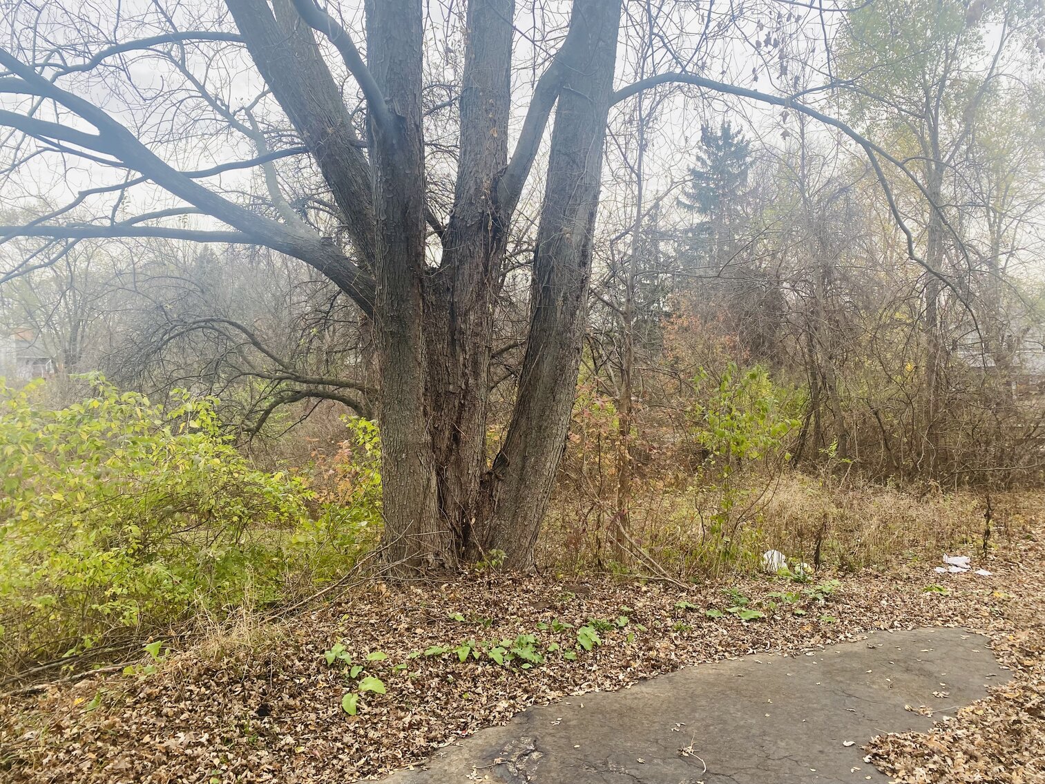 Image for 2000 South Holland Sylvania Road, Maumee, Ohio 43537