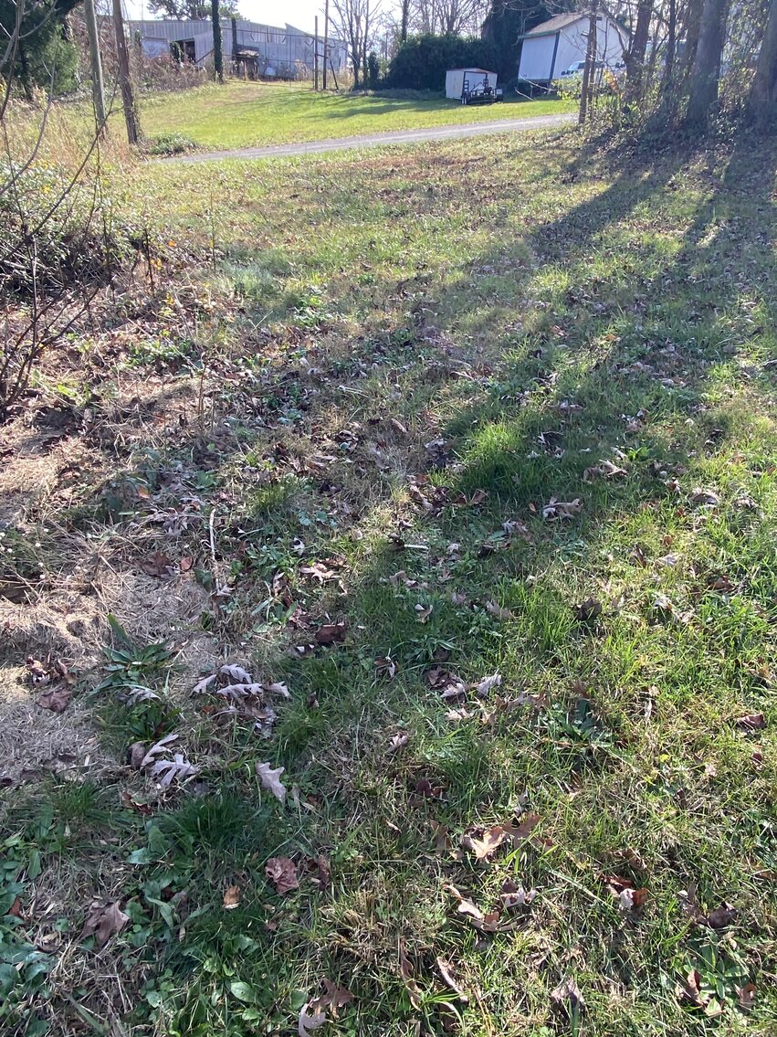 Image for Home/Lot on Hwy 89 in Lowgap, NC