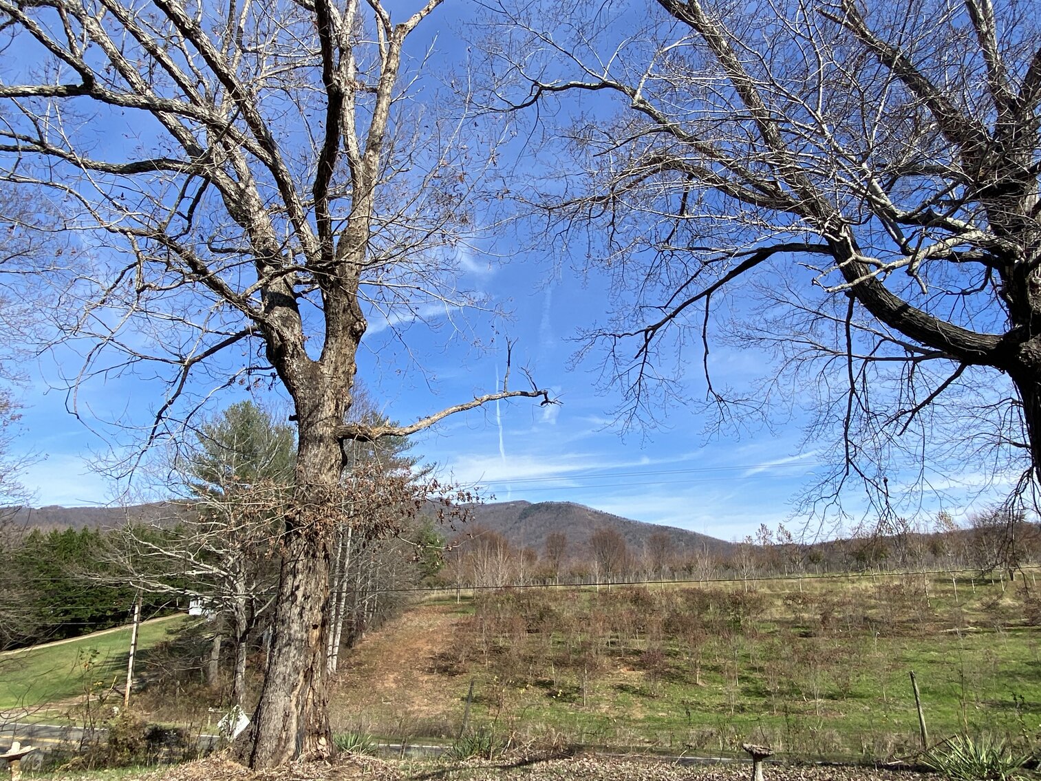 Image for Home/Lot on Hwy 89 in Lowgap, NC