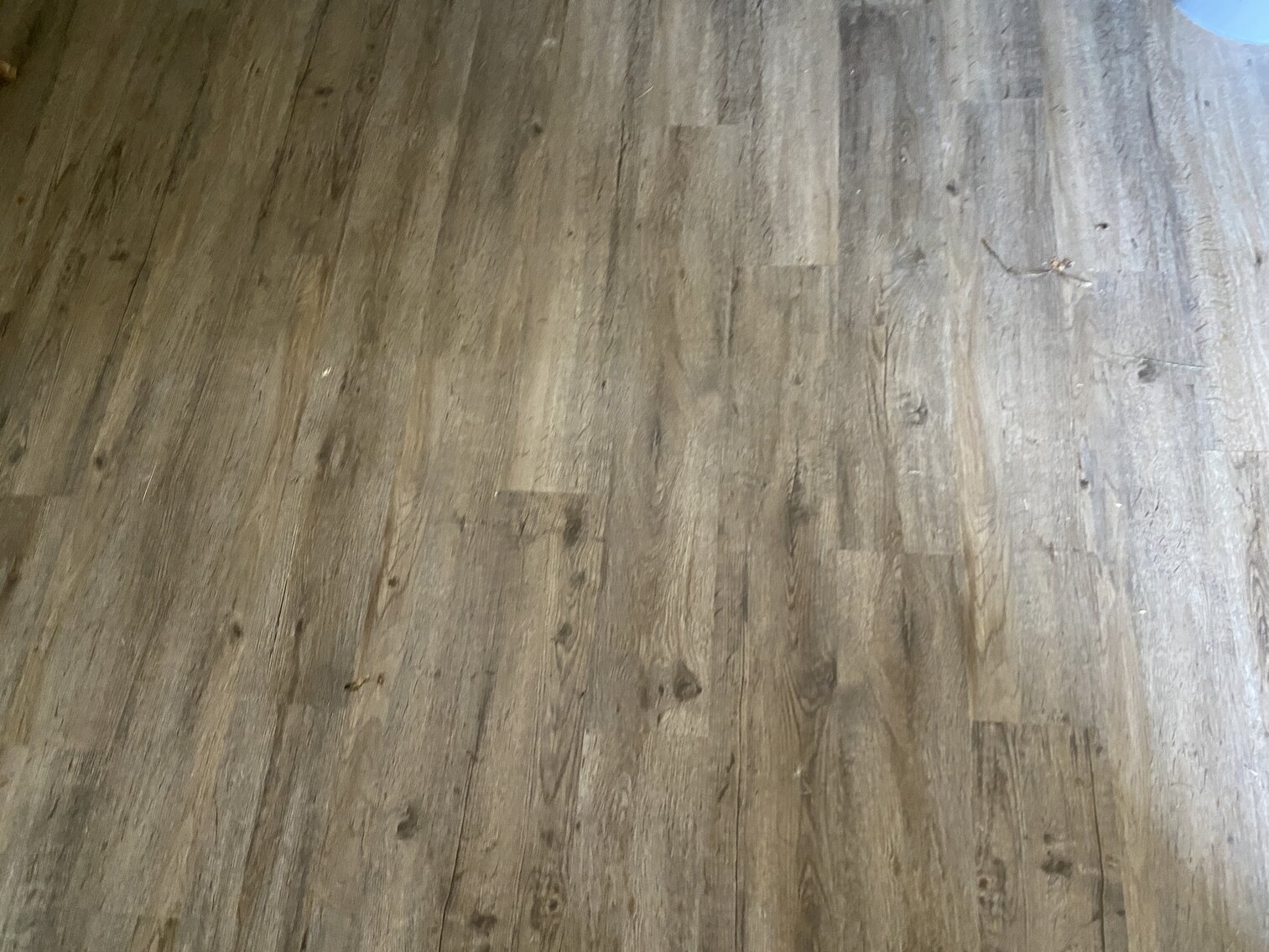 Image for Home/Lot on Hwy 89 in Lowgap, NC