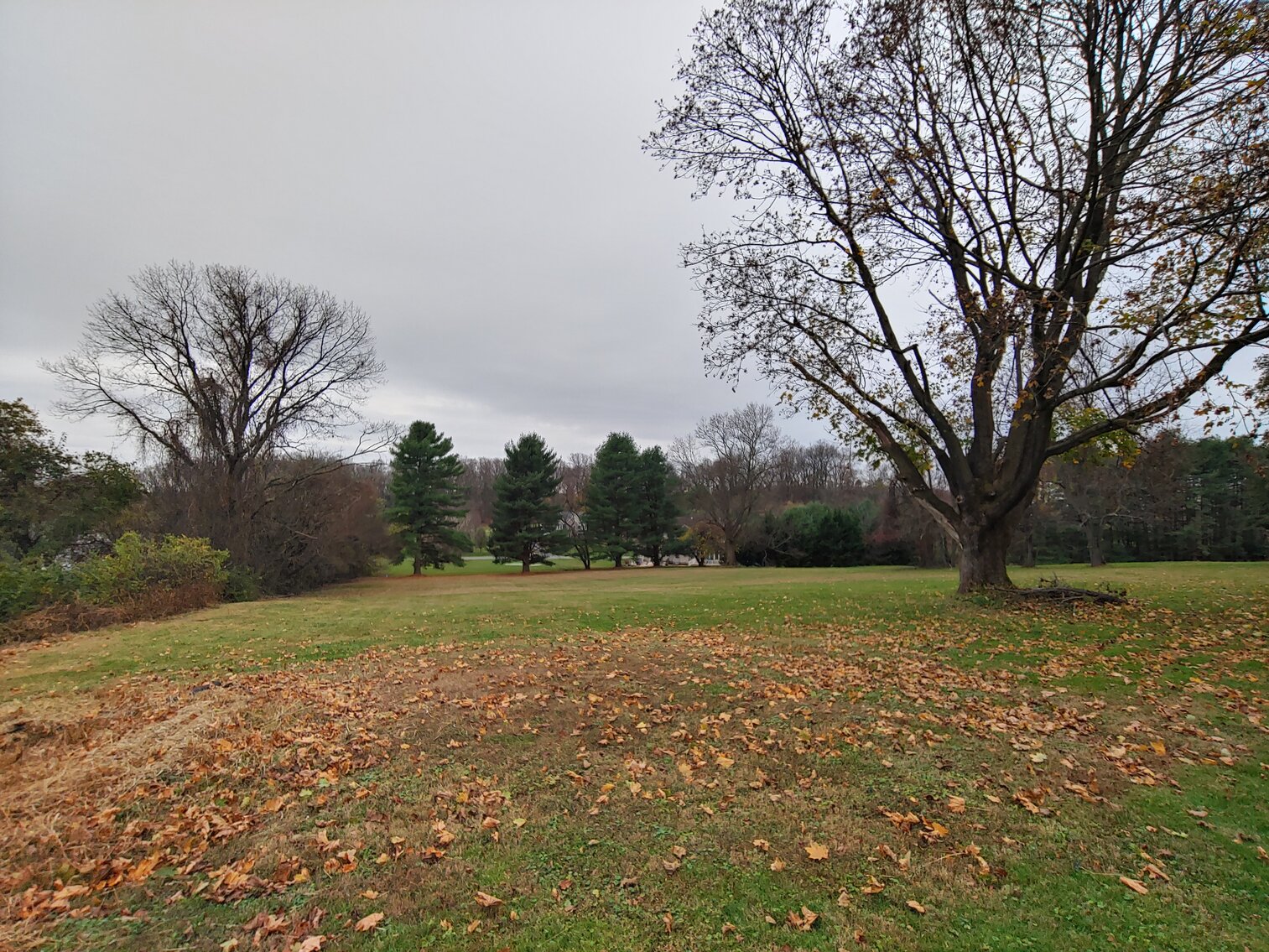 Image for 4 BR, 1.5 BA, 2½-STORY COLONIAL HOME  & 2BR, 2-STORY CARRIAGE HOUSE ON 2.4+/- ACRE LOT