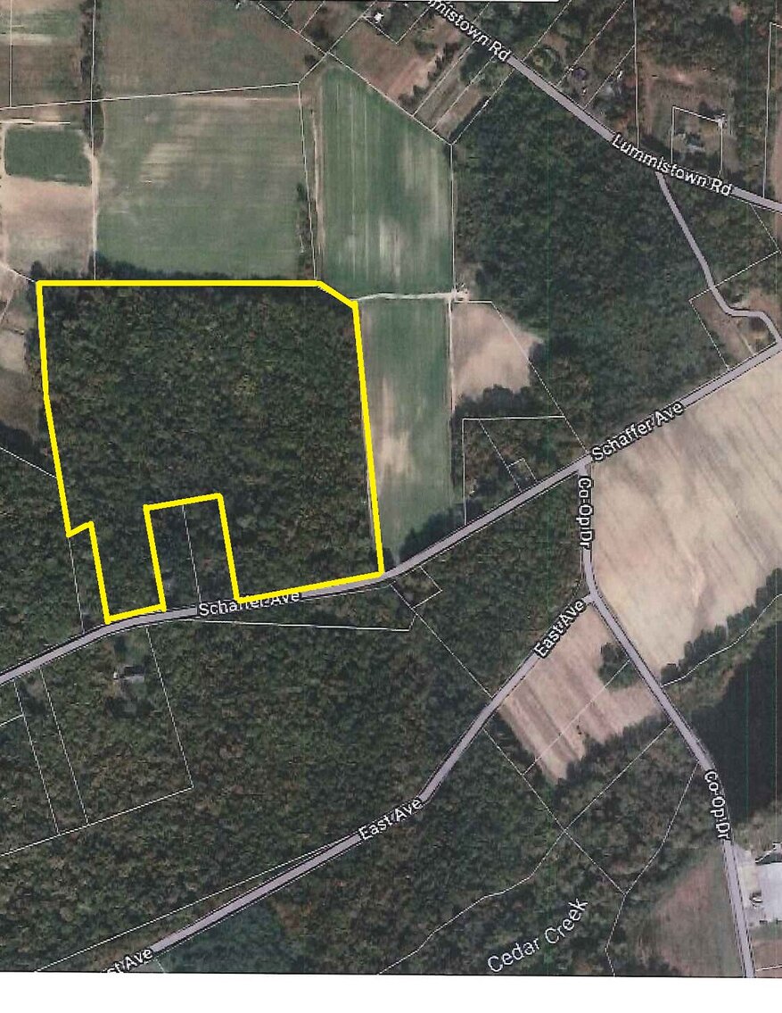Image for 35.38 +/- Wooded Acres Available in Lawrence Township, Cumberland County