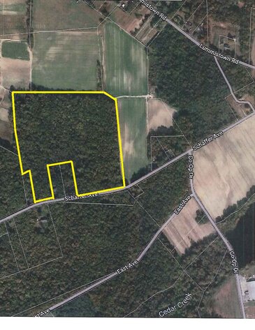 Image for 35.38 +/- Wooded Acres Available in Lawrence Township, Cumberland County