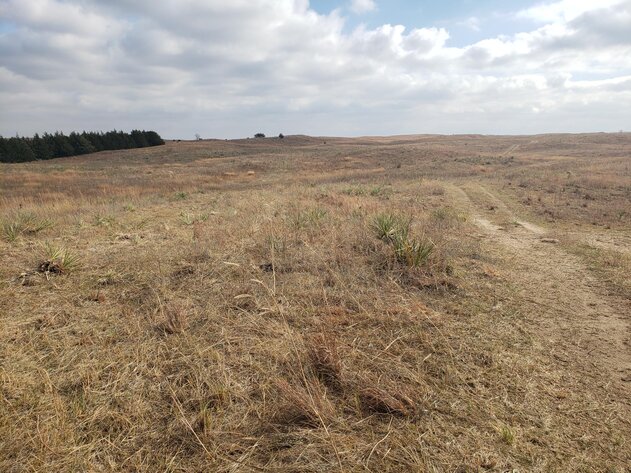 Image for 629.13 +/- Acres in Boone County, NE