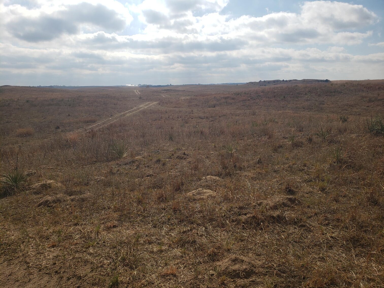 Image for 629.13 +/- Acres in Boone County, NE