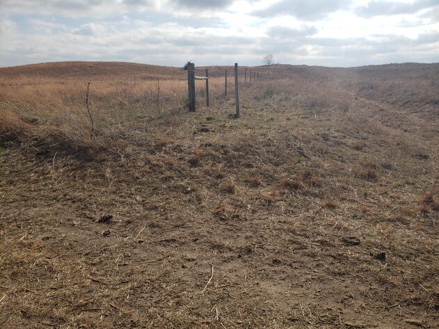 Image for 629.13 +/- Acres in Boone County, NE