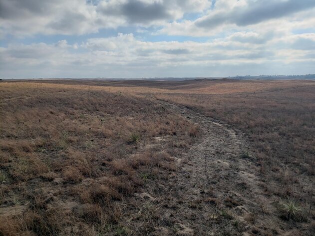 Image for 629.13 +/- Acres in Boone County, NE