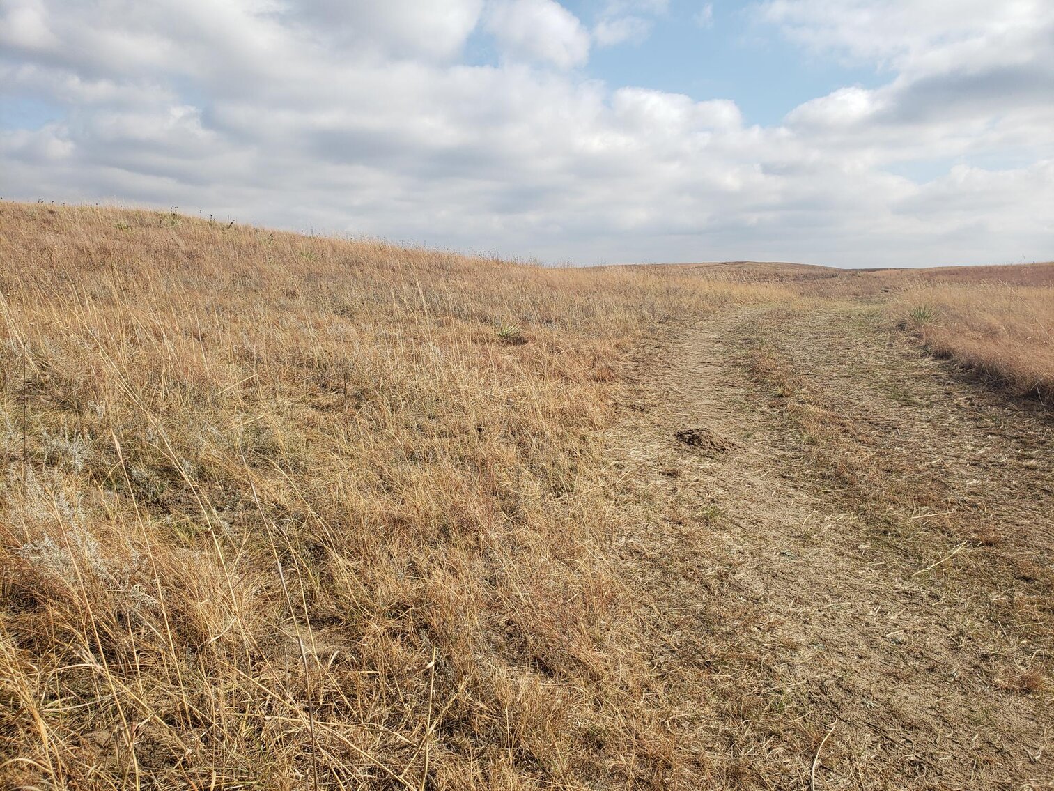 Image for 629.13 +/- Acres in Boone County, NE