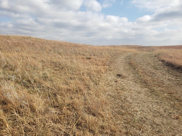 Image for 629.13 +/- Acres in Boone County, NE