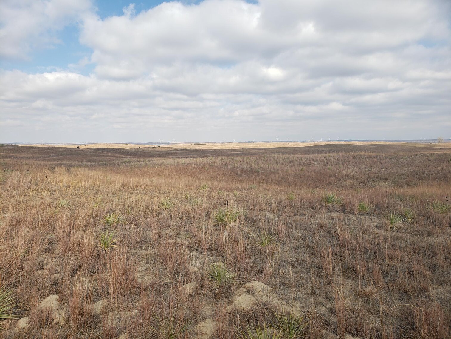 Image for 629.13 +/- Acres in Boone County, NE