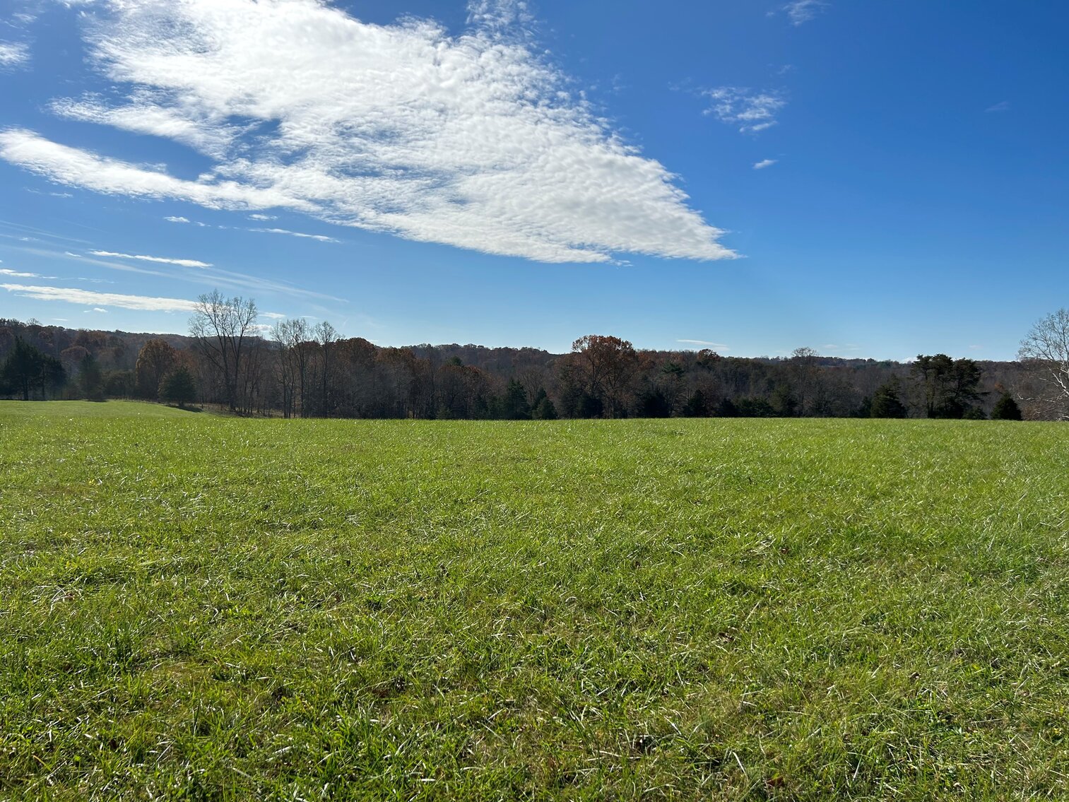 Image for Beautiful Bedford County Farm - 92 ± acres