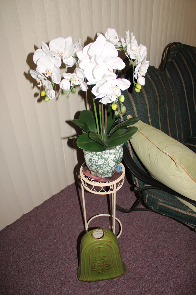 Image for LAST MINUTE! VINTAGE TIME CAPSULE ESTATE AUCTION