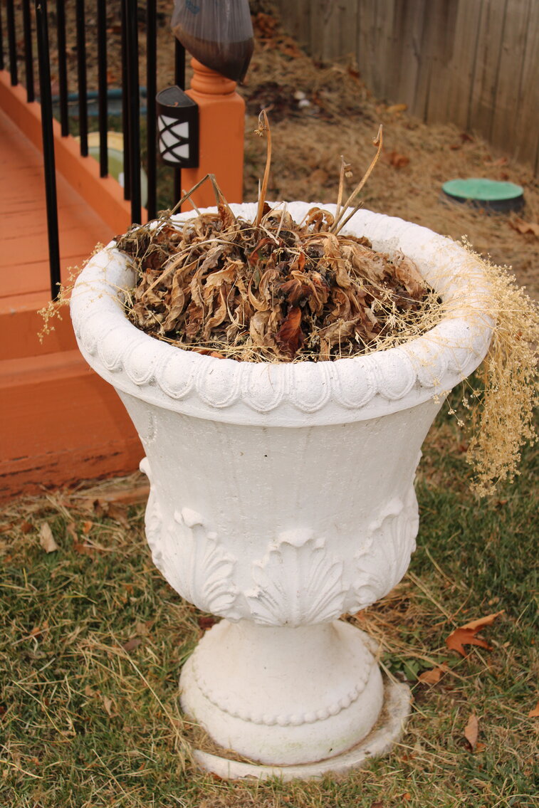 Image for LAST MINUTE! VINTAGE TIME CAPSULE ESTATE AUCTION