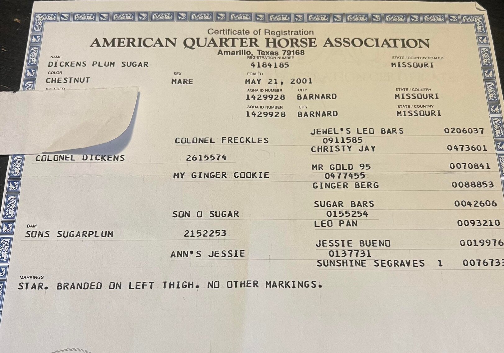 Donkey's Horse Sale Christmas Special December 3rd Clarinda, Iowa