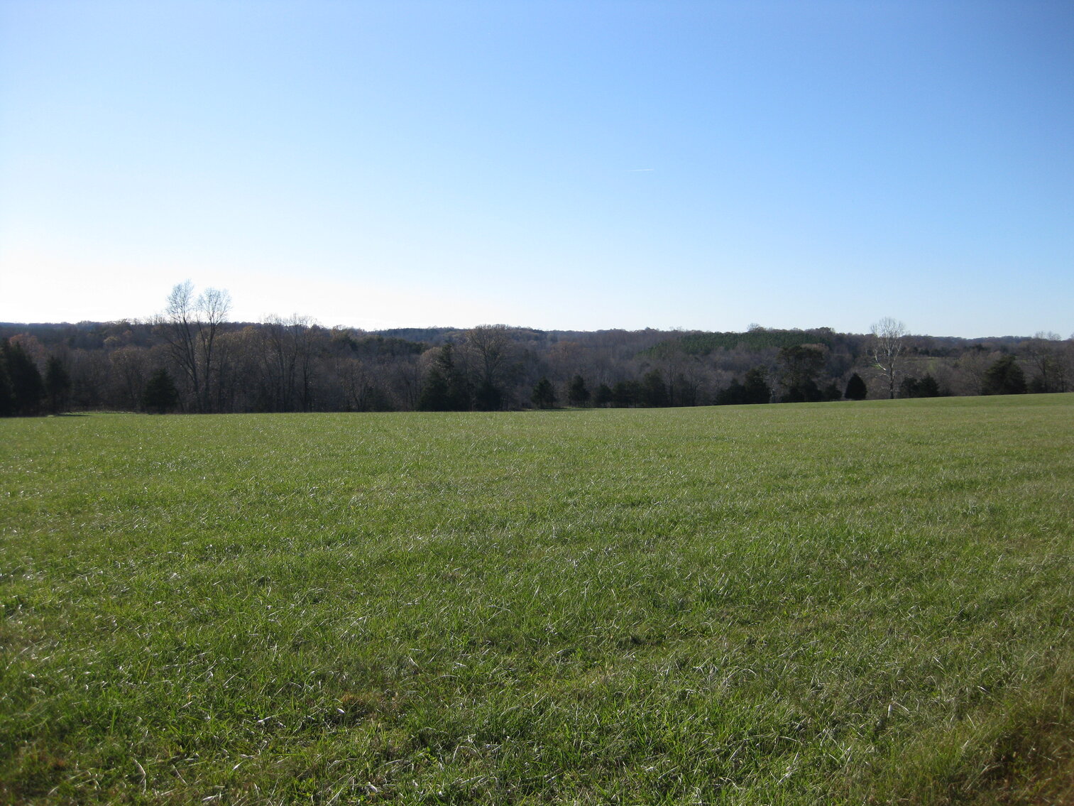 Image for Beautiful Bedford County Farm - 92 ± acres
