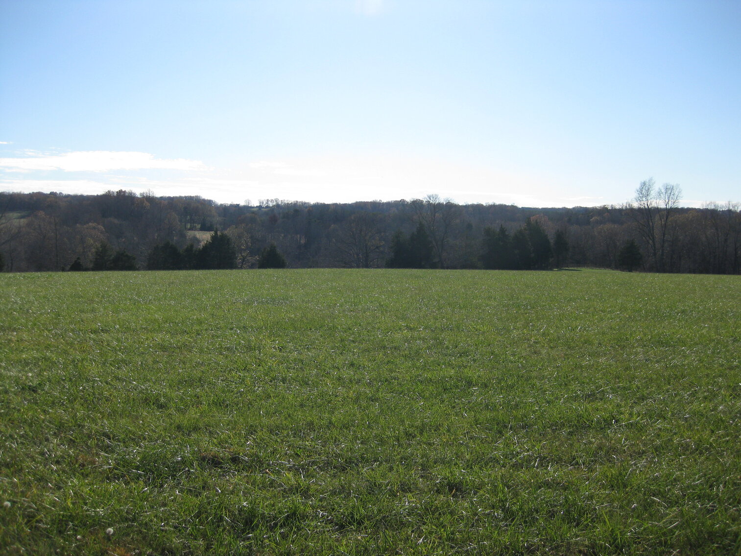 Image for Beautiful Bedford County Farm - 92 ± acres