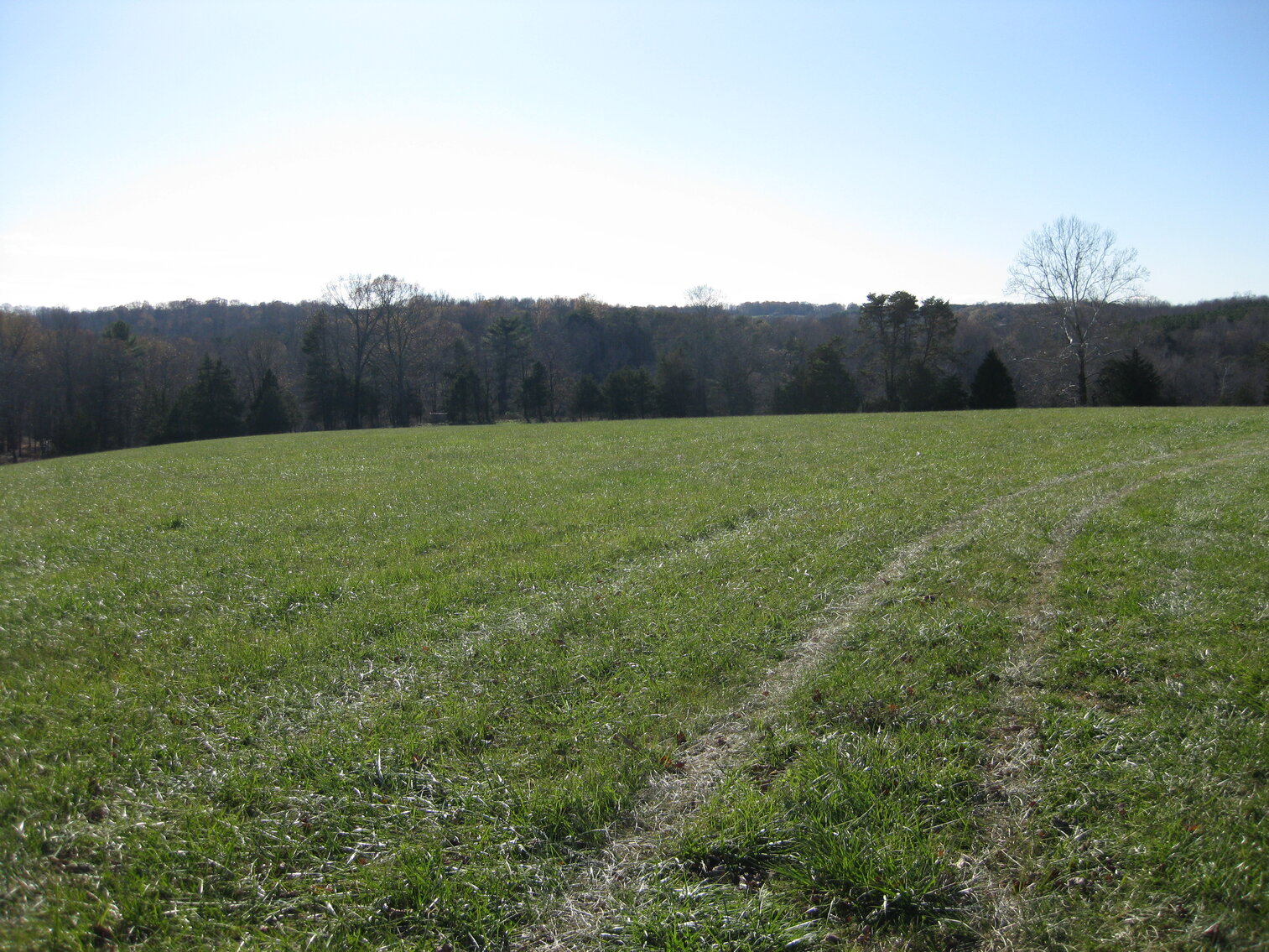 Image for Beautiful Bedford County Farm - 92 ± acres