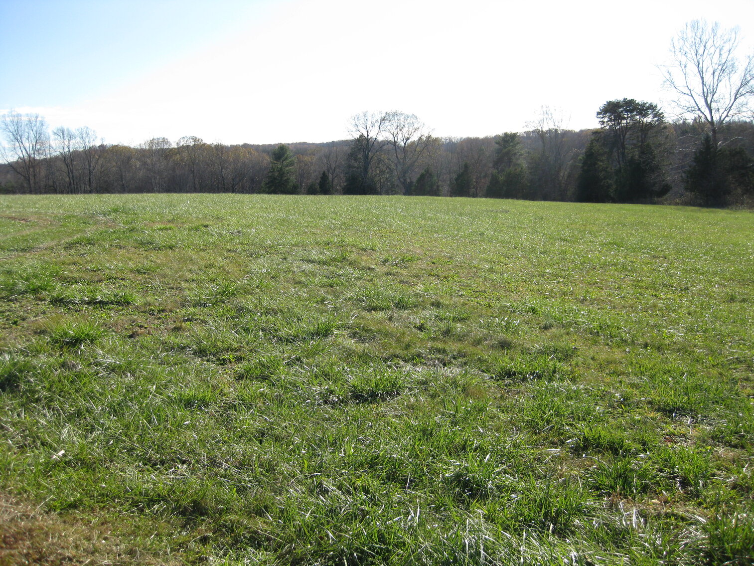 Image for Beautiful Bedford County Farm - 92 ± acres