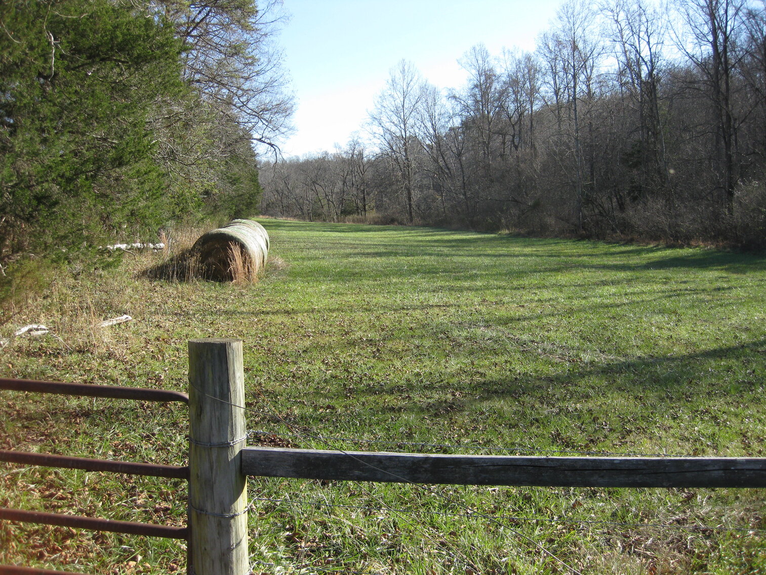 Image for Beautiful Bedford County Farm - 92 ± acres