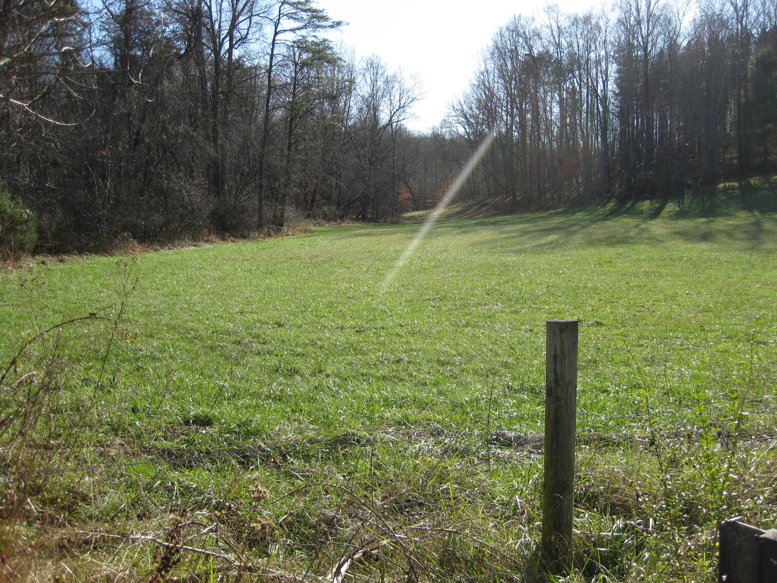 Image for Beautiful Bedford County Farm - 92 ± acres