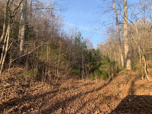 Image for Mill Creek Road - 12 acres / Southern Exposure