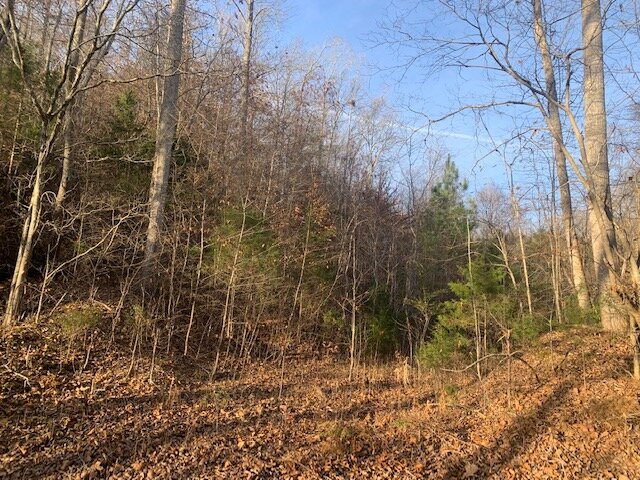 Image for Mill Creek Road - 12 acres / Southern Exposure