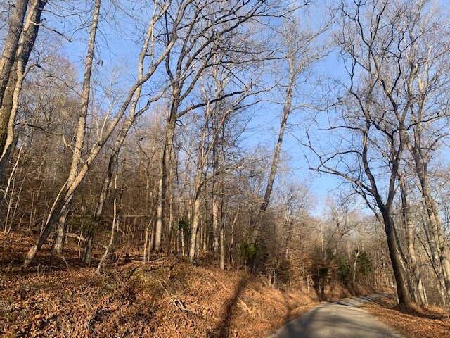 Image for Mill Creek Road - 12 acres / Southern Exposure