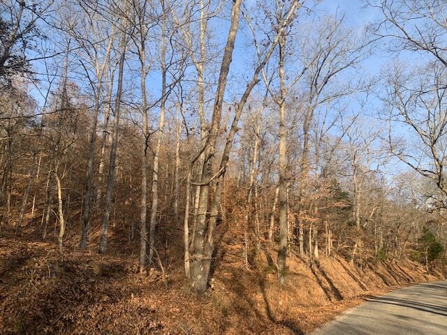 Image for Mill Creek Road - 12 acres / Southern Exposure