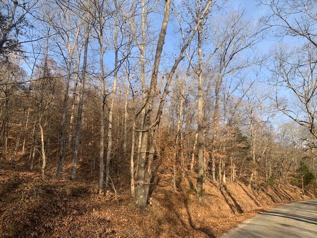 Image for Mill Creek Road - 12 acres / Southern Exposure