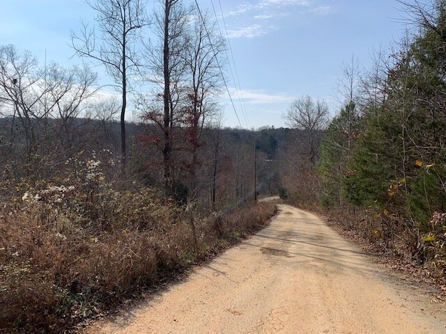 Image for Mill Creek Road - 12 acres / Southern Exposure