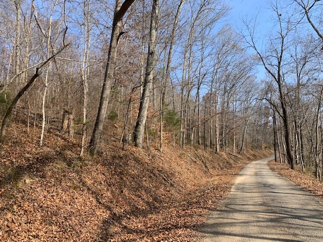 Image for Mill Creek Road - 12 acres / Southern Exposure