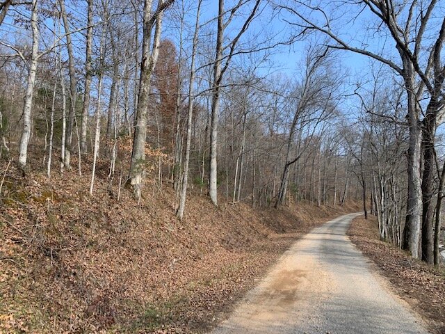 Image for Mill Creek Road - 12 acres / Southern Exposure