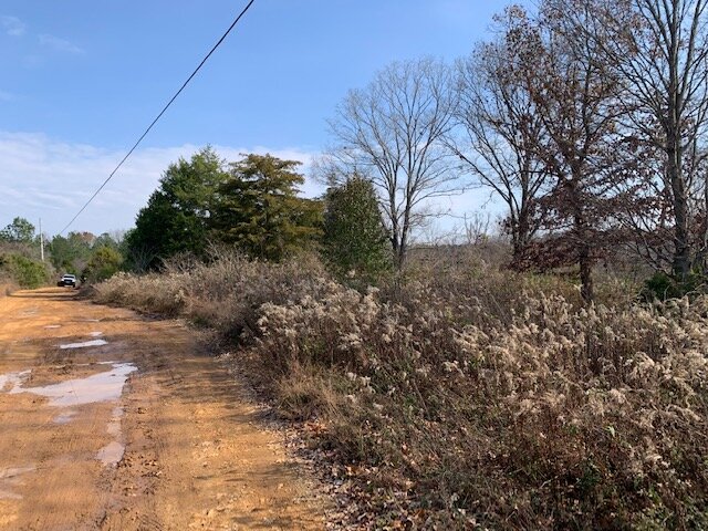 Image for Mill Creek Road - 12 acres / Southern Exposure