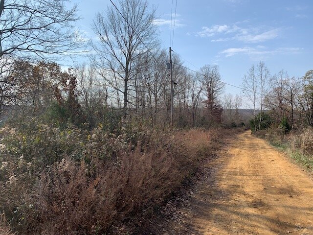 Image for Mill Creek Road - 12 acres / Southern Exposure