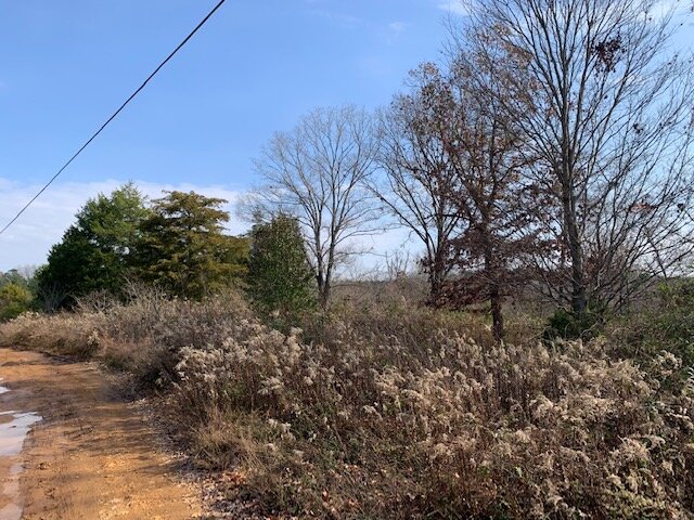 Image for Mill Creek Road - 12 acres / Southern Exposure