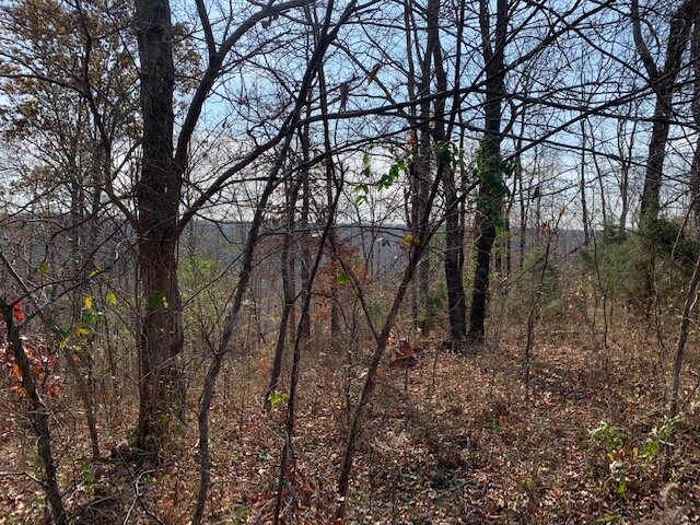 Image for Mill Creek Road - 12 acres / Southern Exposure