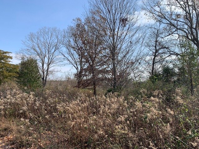 Image for Mill Creek Road - 12 acres / Southern Exposure