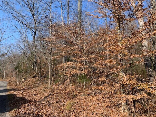 Image for Mill Creek Road - 12 acres / Southern Exposure