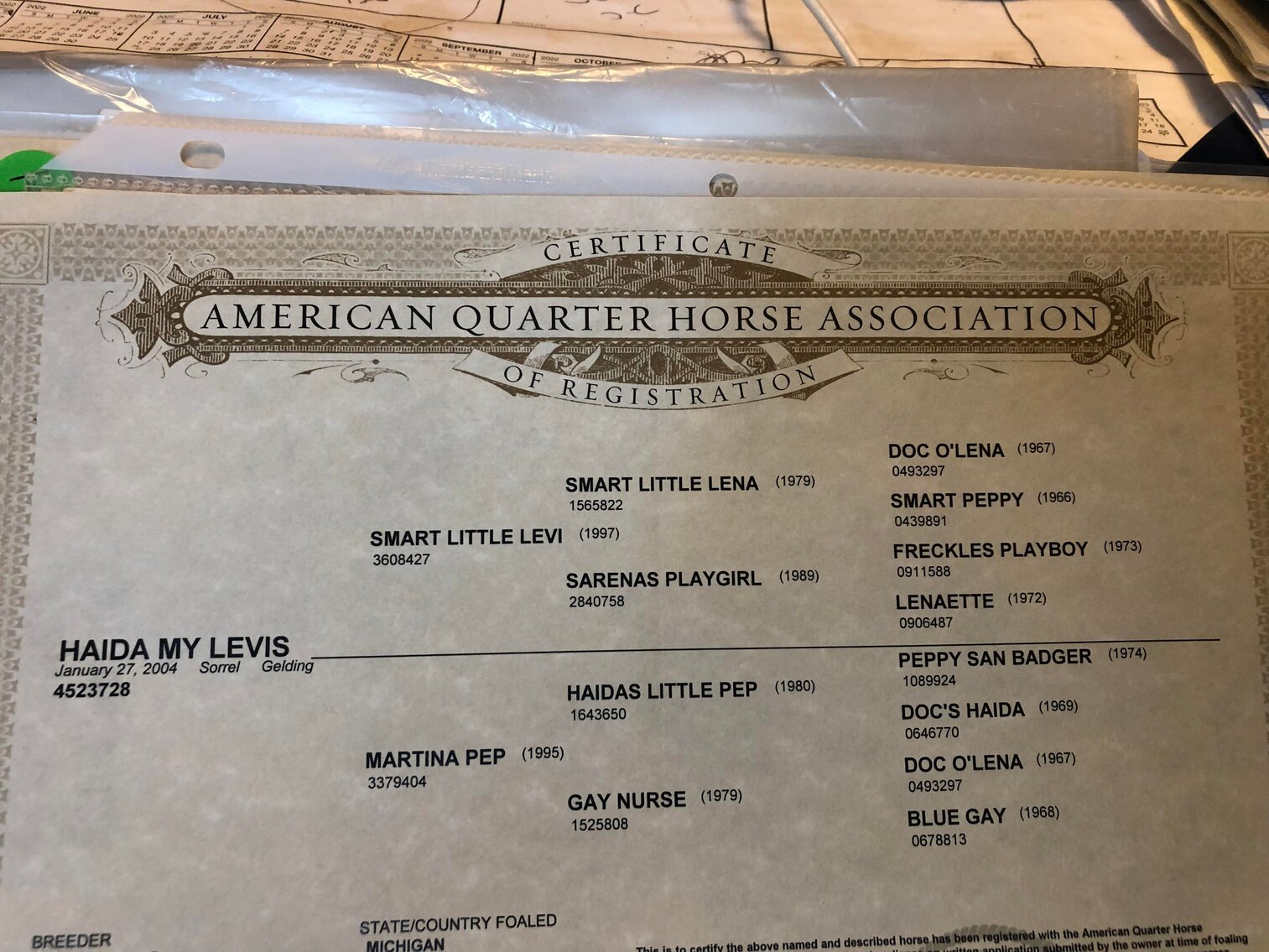 Central Livestock Horse Sale Christmas Special December 10th South Hutchinson, Kansas