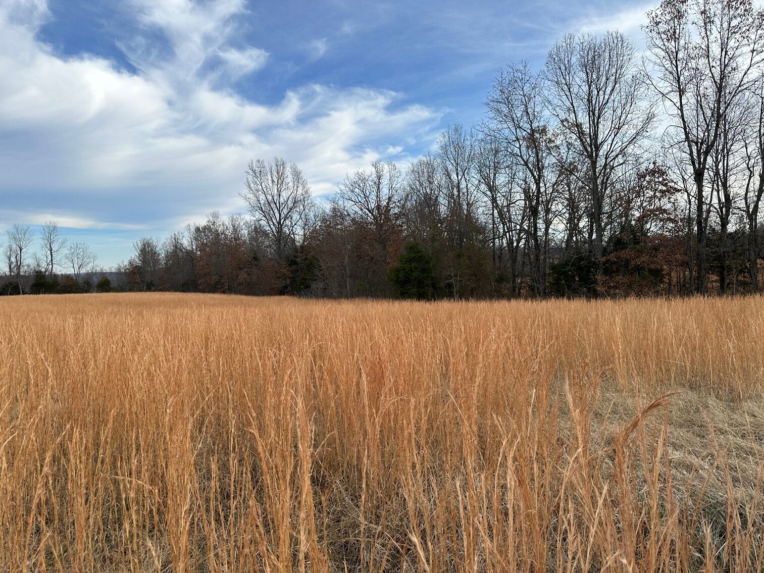 Image for SATURDAY, DECEMBER 10TH, AT 10 AM