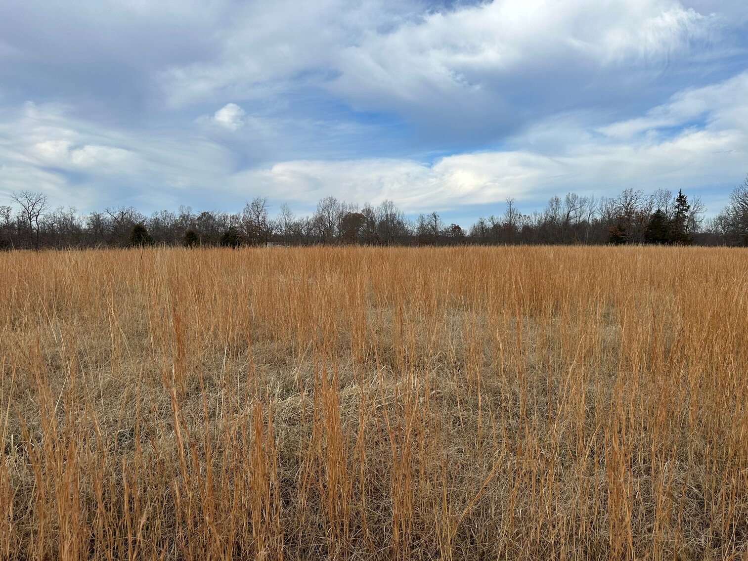 Image for SATURDAY, DECEMBER 10TH, AT 10 AM