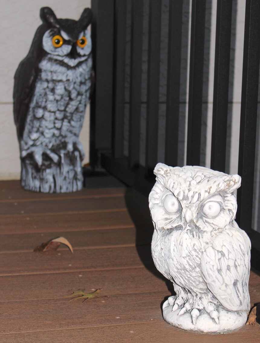 Image for LIVING ESTATE AUCTION