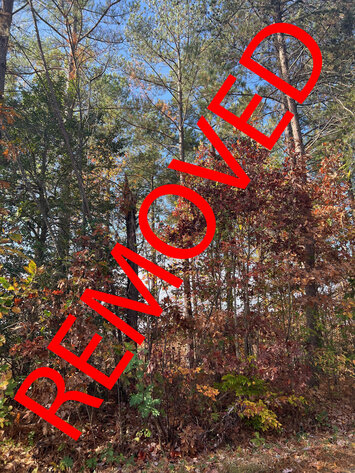 Image for Powhatan County, VA Sale of Tax Delinquent Real Estate