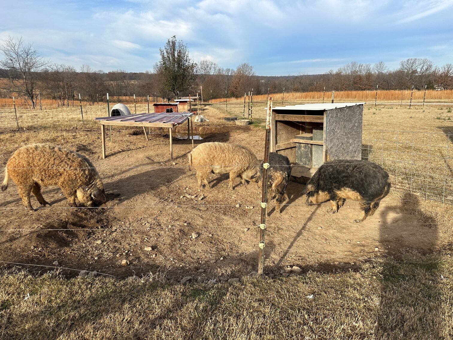 Image for SATURDAY, DECEMBER 3RD, AT 10 AM