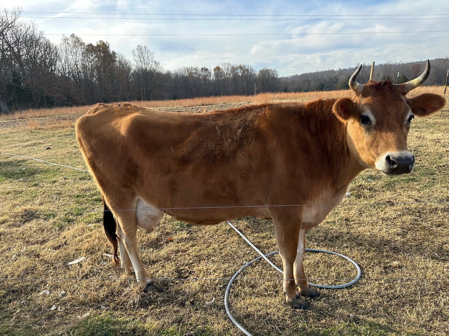 Image for SATURDAY, DECEMBER 3RD, AT 10 AM