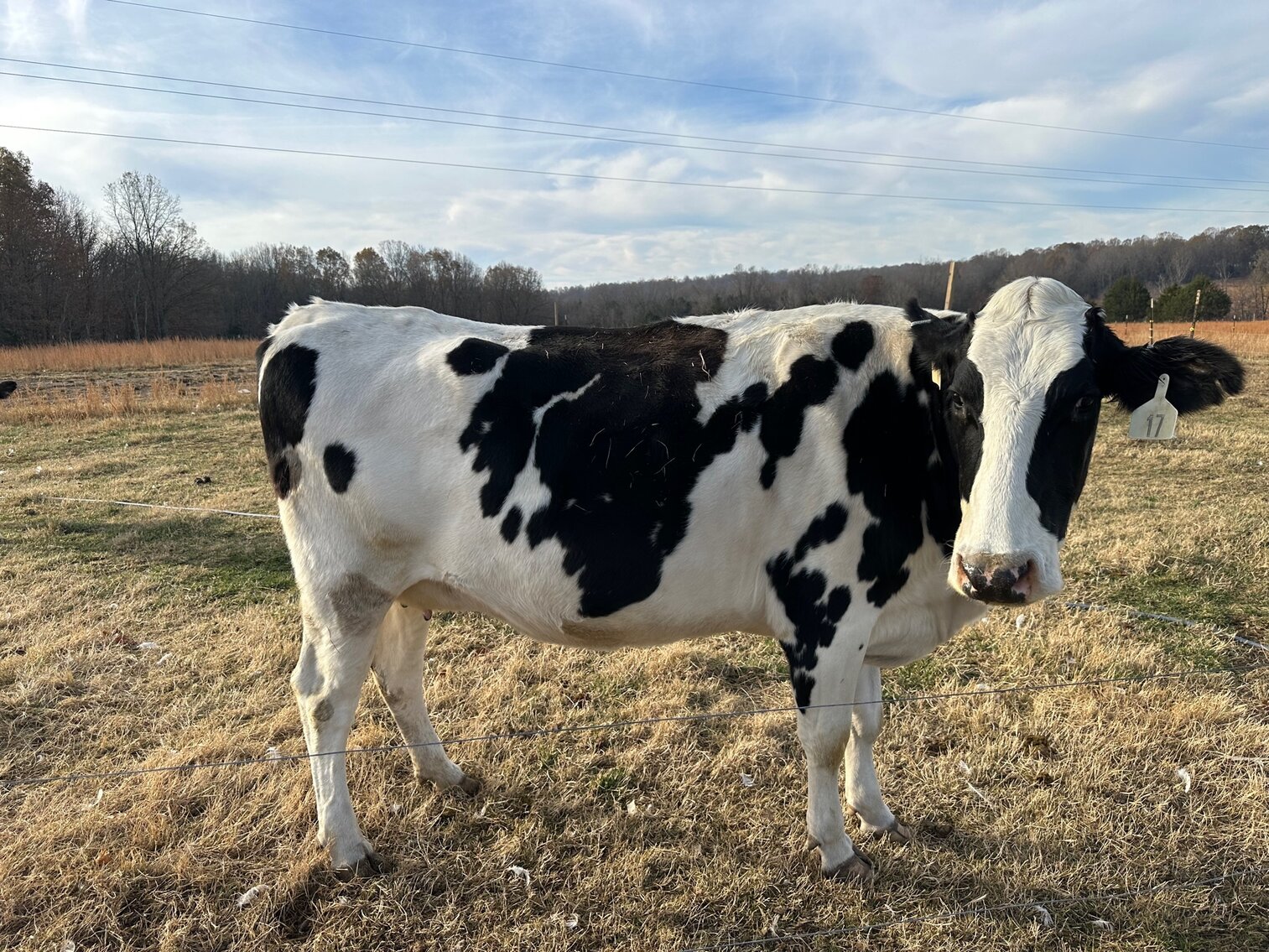 Image for SATURDAY, DECEMBER 3RD, AT 10 AM