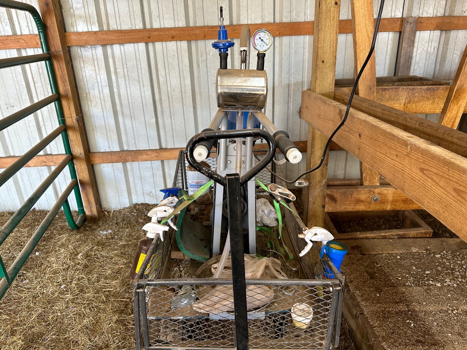 Image for SATURDAY, DECEMBER 3RD, AT 10 AM